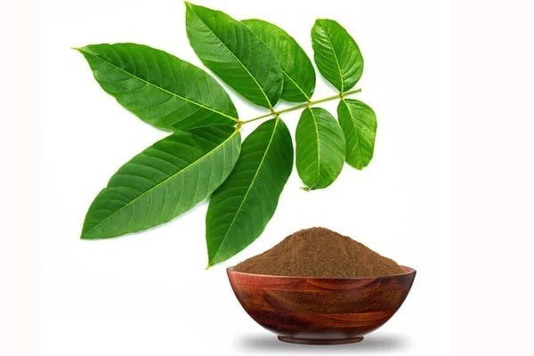 Banaba Leaf Extract